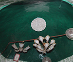 Abdullah & Nassiruddin Dargah, Sonipat