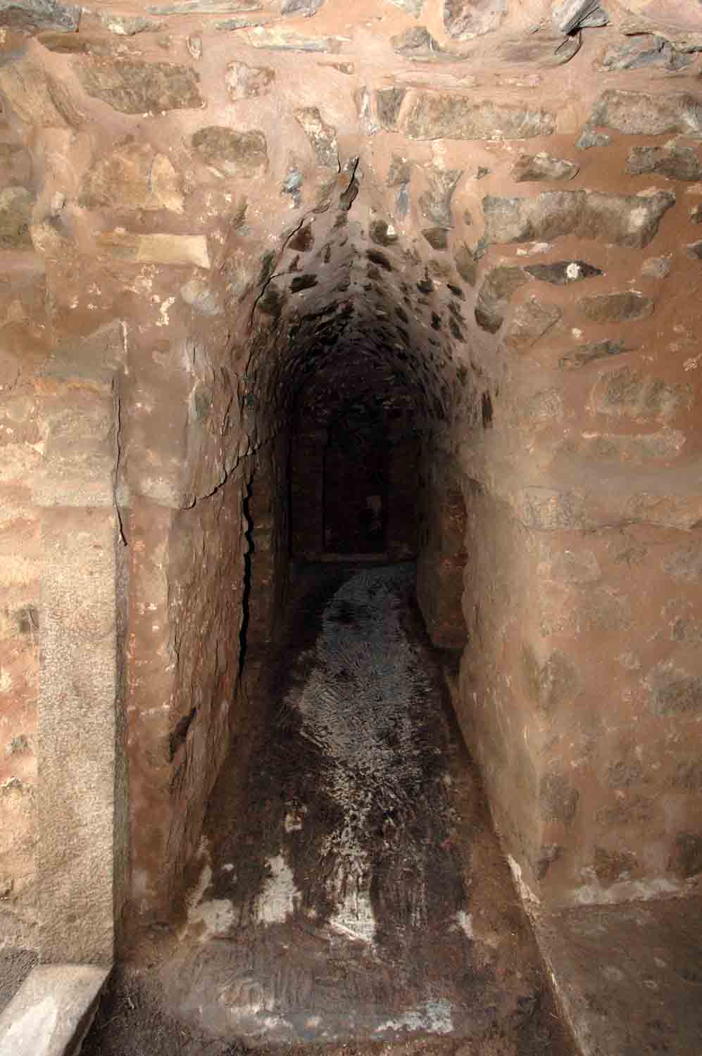 Palace of Firuz Shah Tughluk