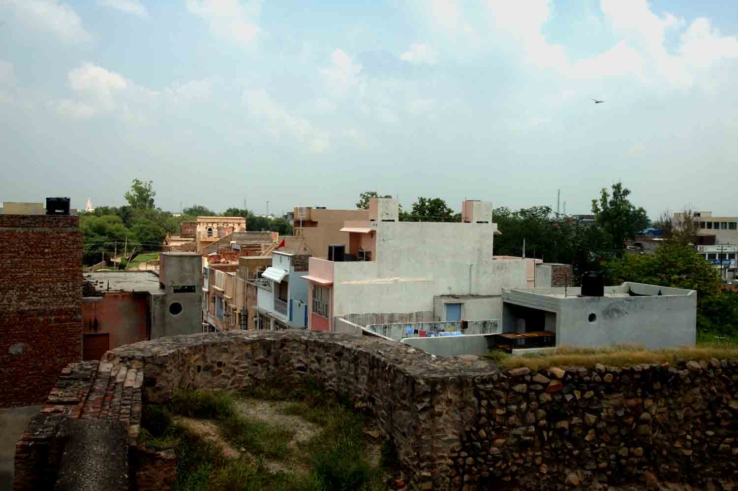Palace of Firuz Shah Tughluk