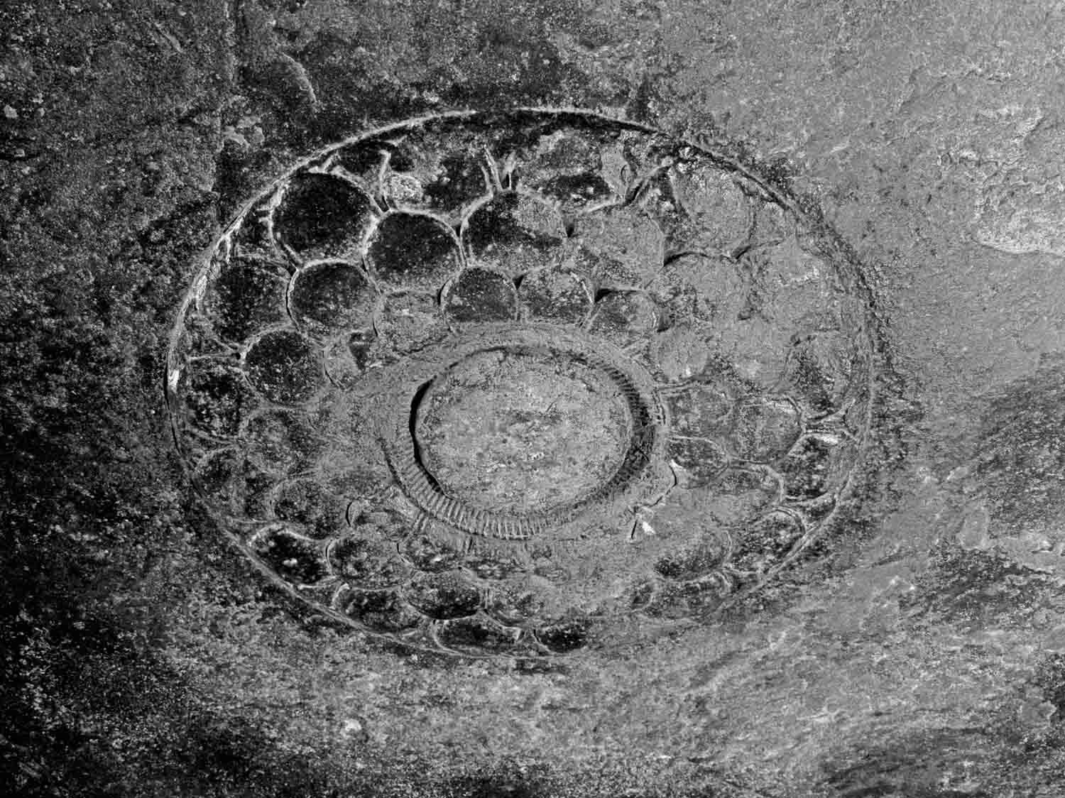 B Sites, AIIS, CA&A