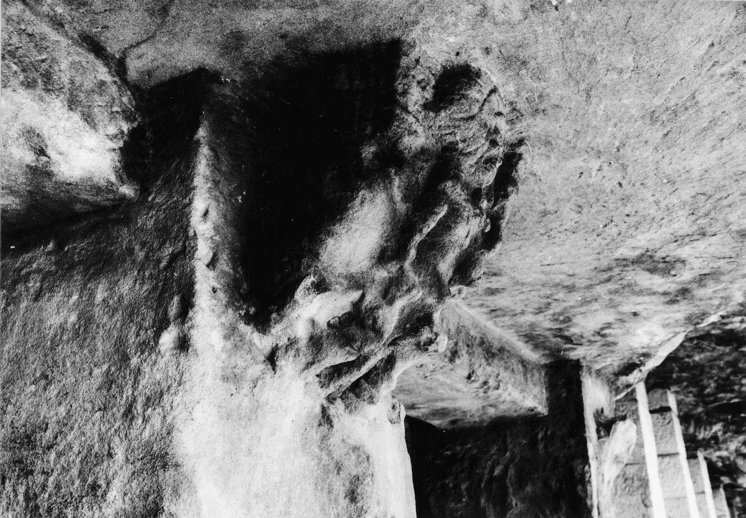 Udayagiri caves, Bhubaneswar, Odisha