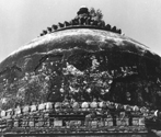 Delhi, Deer Park