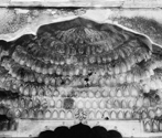 Qudsiya-Bagh-Mosque, Delhi