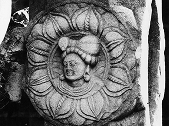 Archaeological Museum, Bodhgaya