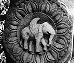 Archaeological Museum, Bodhgaya