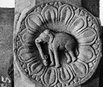 Archaeological Museum, Bodhgaya