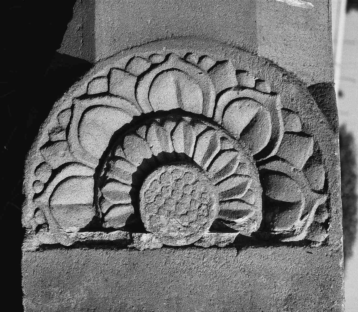 Archaeological Museum, Bodhgaya