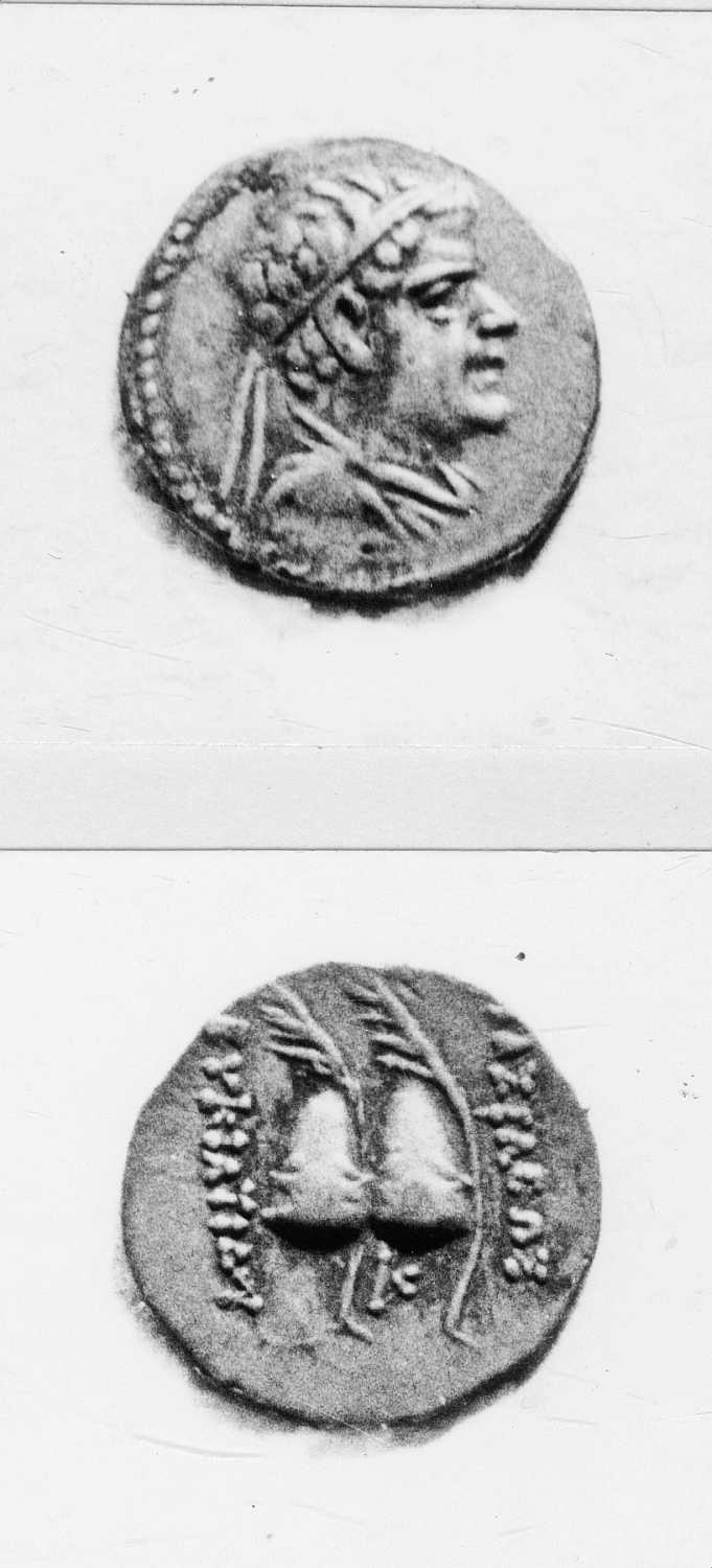 Calcutta, Singhi Collection