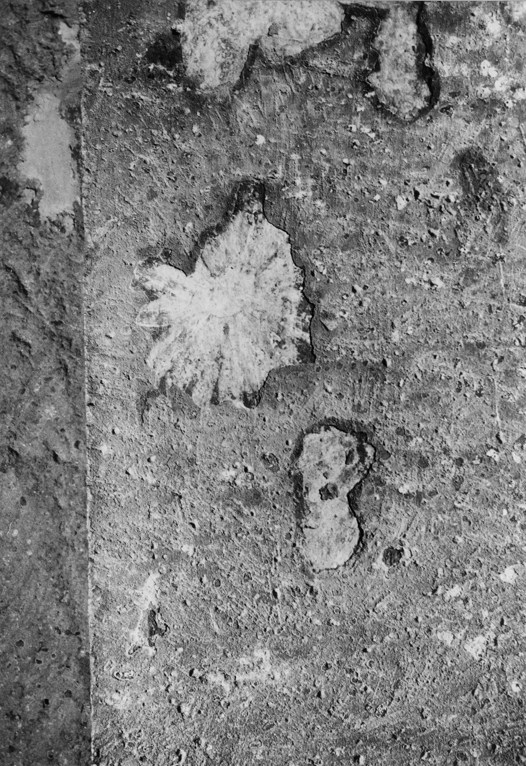 Cave 06, Ajanta, Aurangabad, Maharashtra