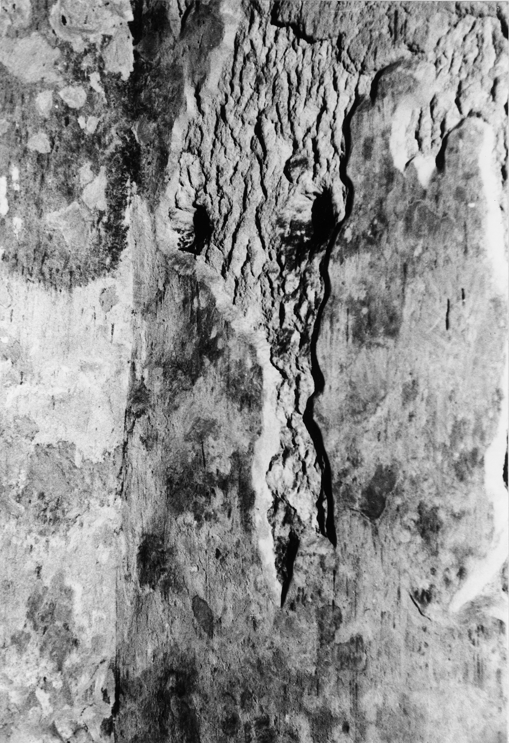 Cave 06, Ajanta, Aurangabad, Maharashtra