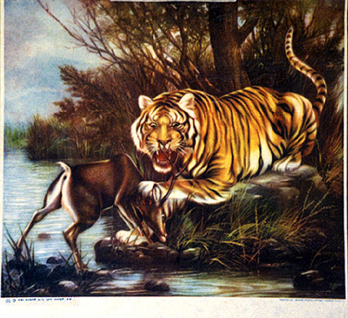 Conveyance Arts in Bangladesh, India and Pakistan