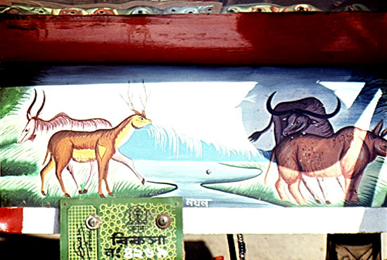 Conveyance Arts in Bangladesh, India and Pakistan