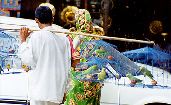 Conveyance Arts in Bangladesh, India and Pakistan