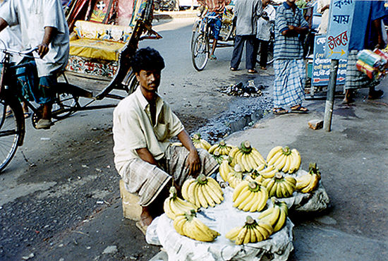 Conveyance Arts in Bangladesh, India and Pakistan