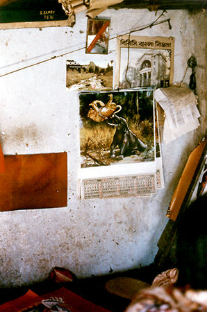 Conveyance Arts in Bangladesh, India and Pakistan