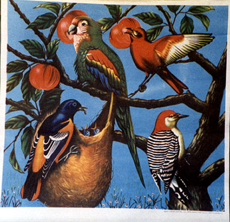 Conveyance Arts in Bangladesh, India and Pakistan
