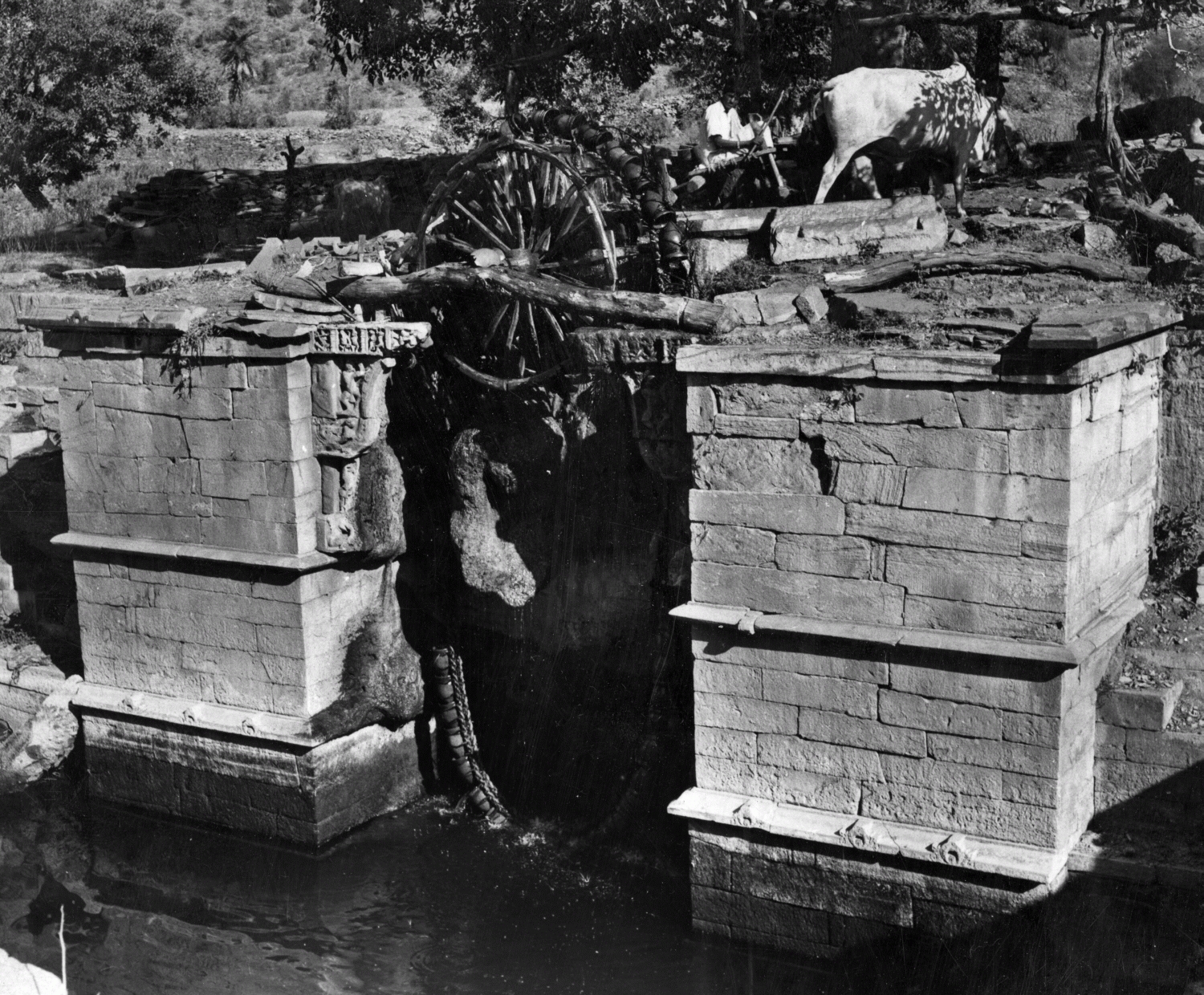 M.A. Dhaky's Image Archives