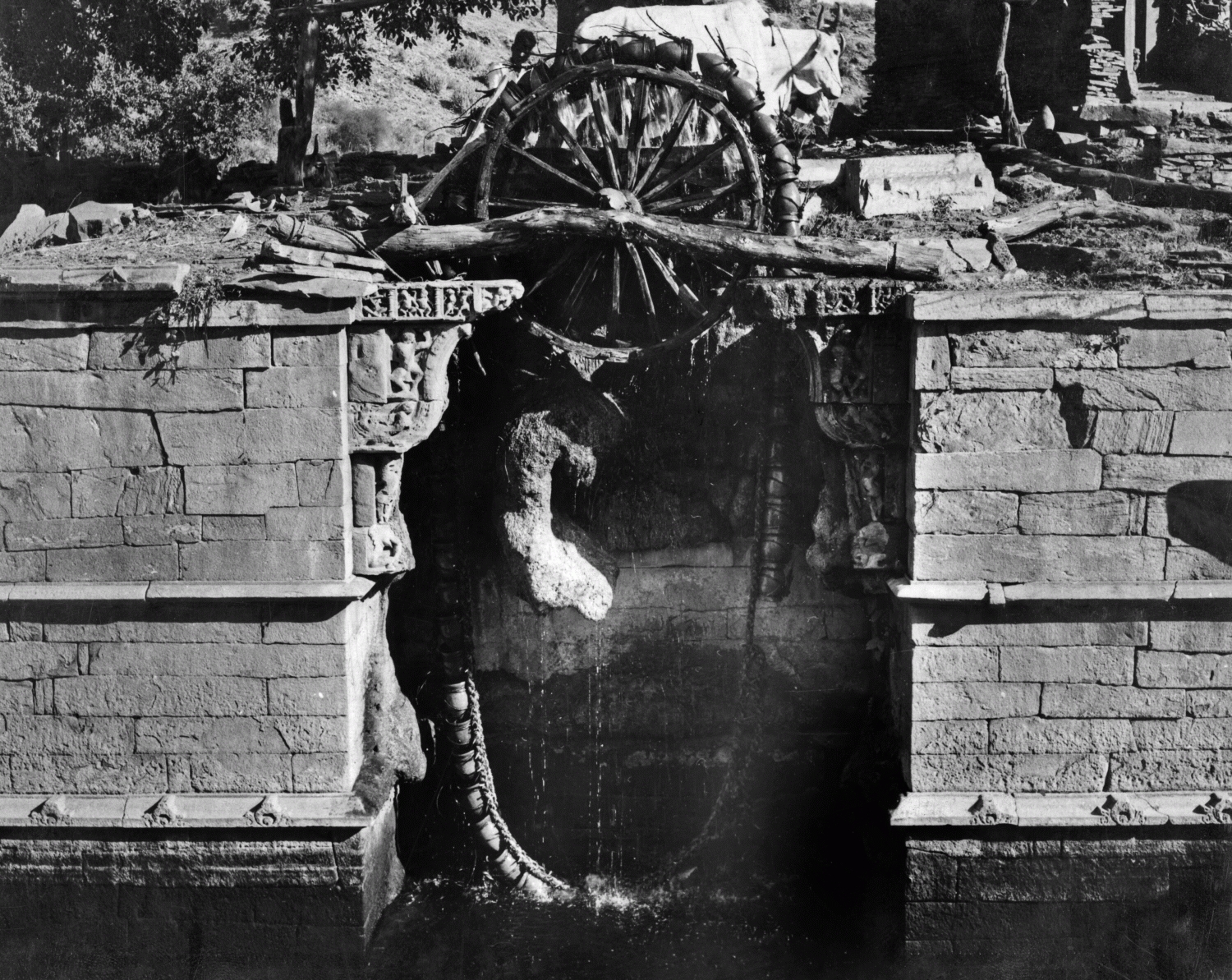 M.A. Dhaky's Image Archives