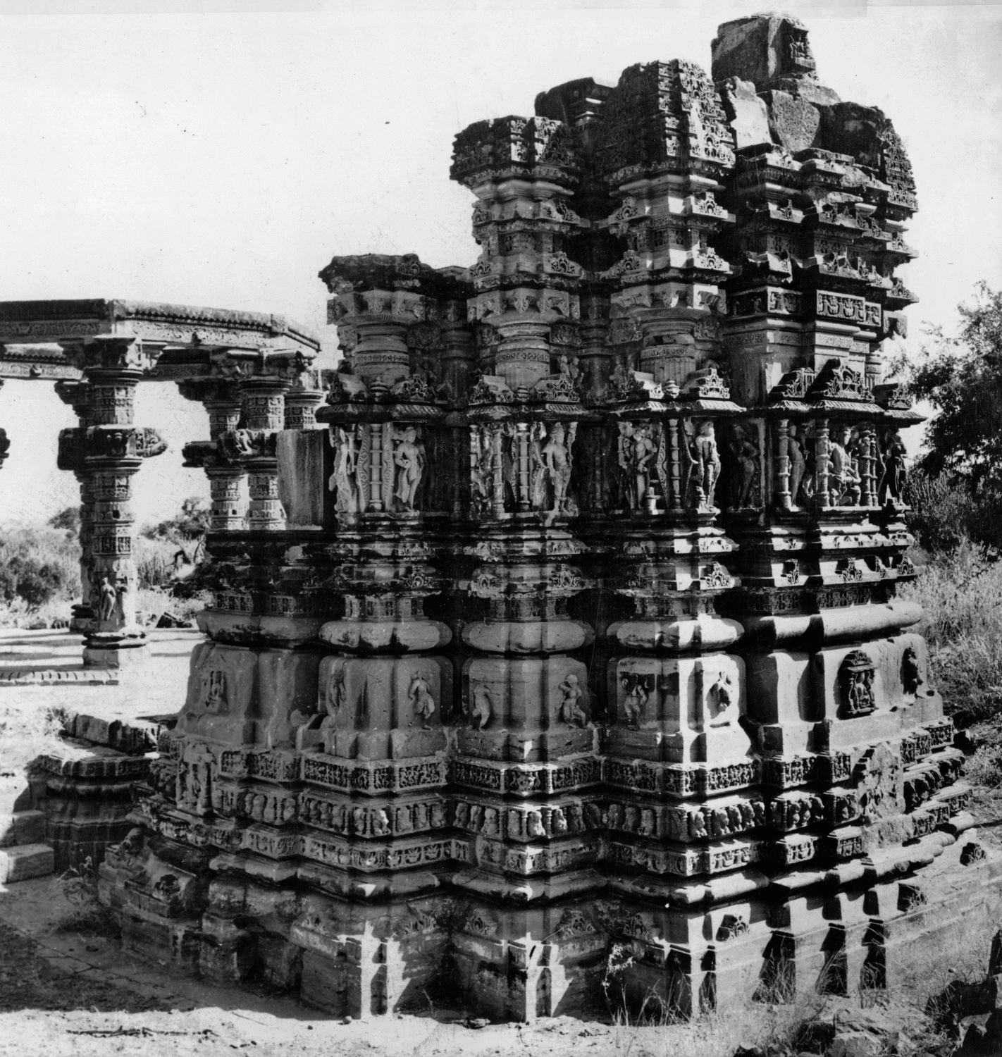 M.A. Dhaky's Image Archives
