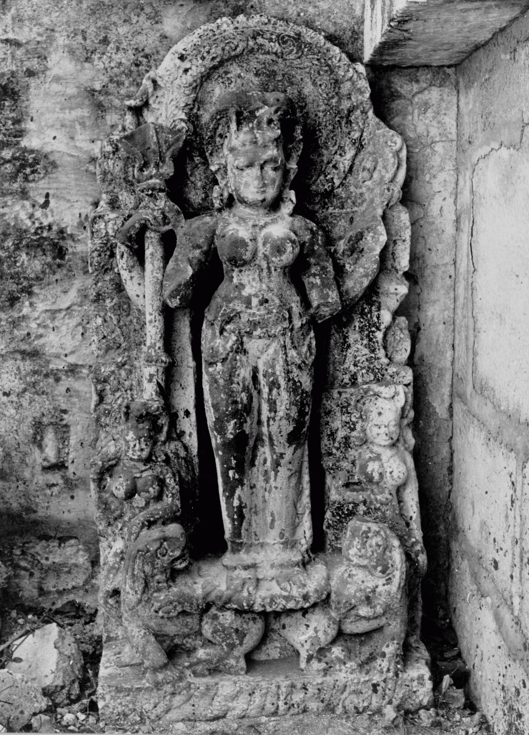 M.A. Dhaky's Image Archives