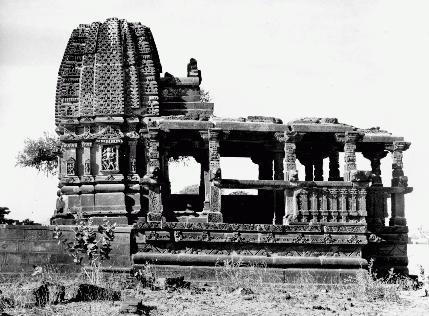 M.A. Dhaky's Image Archives
