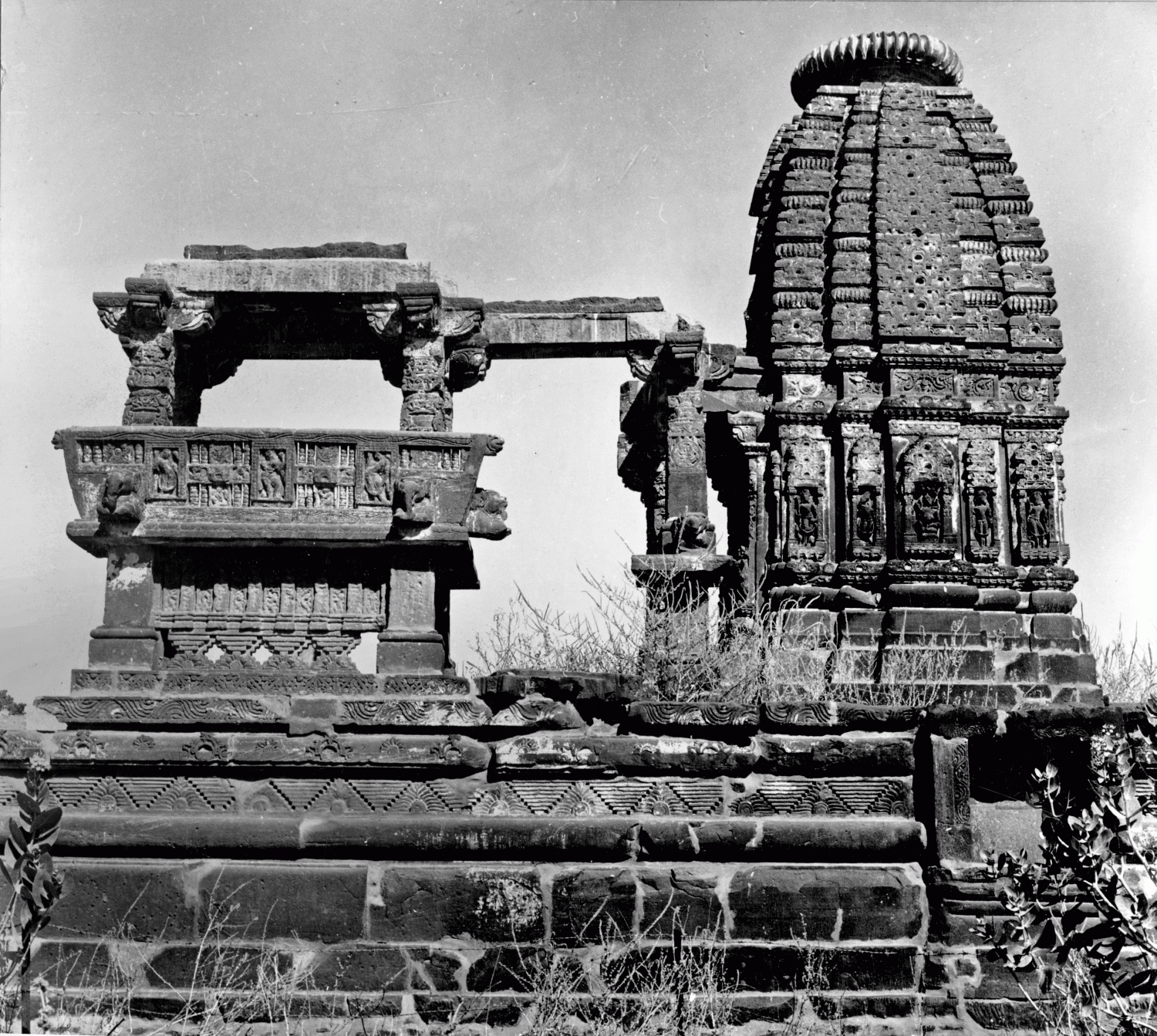 M.A. Dhaky's Image Archives