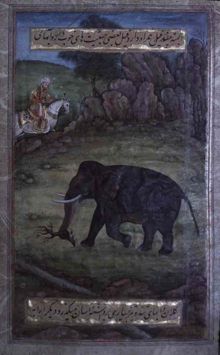 Alwar Museum, Rajasthan
