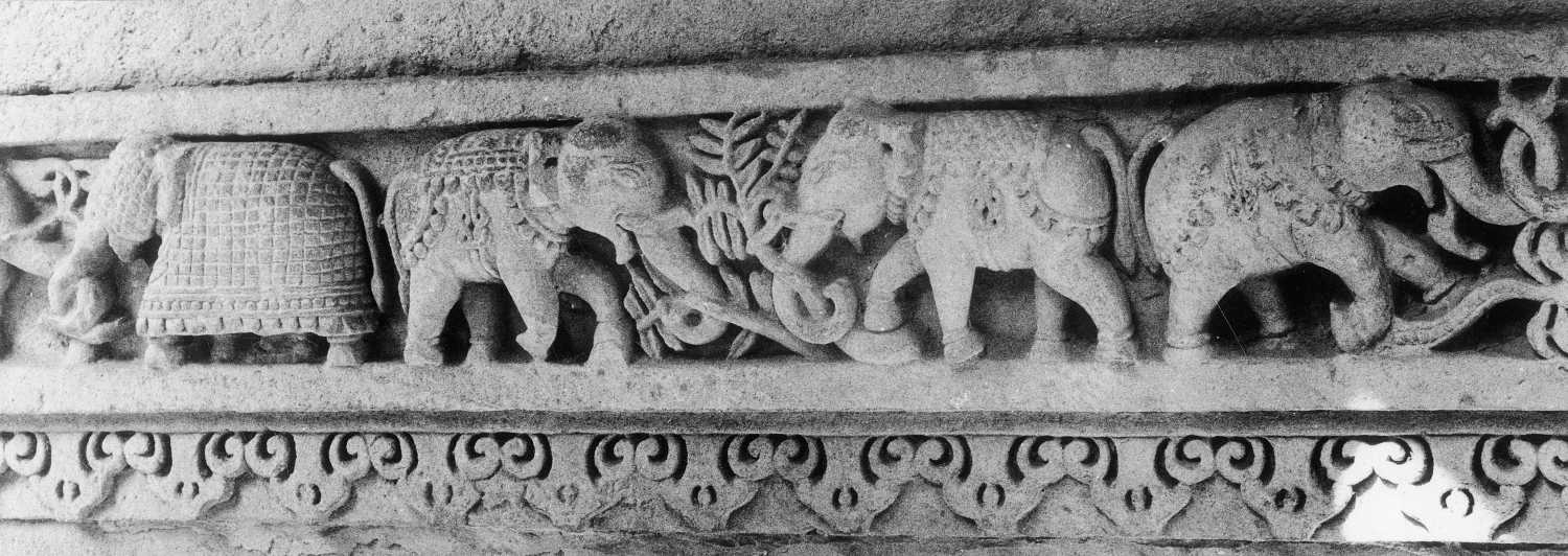 Adalaj Vapi, Ahmedabad, Gujarat