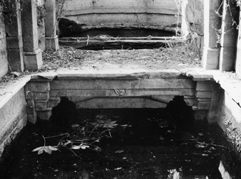 Step-well, Poshina, Gujarat