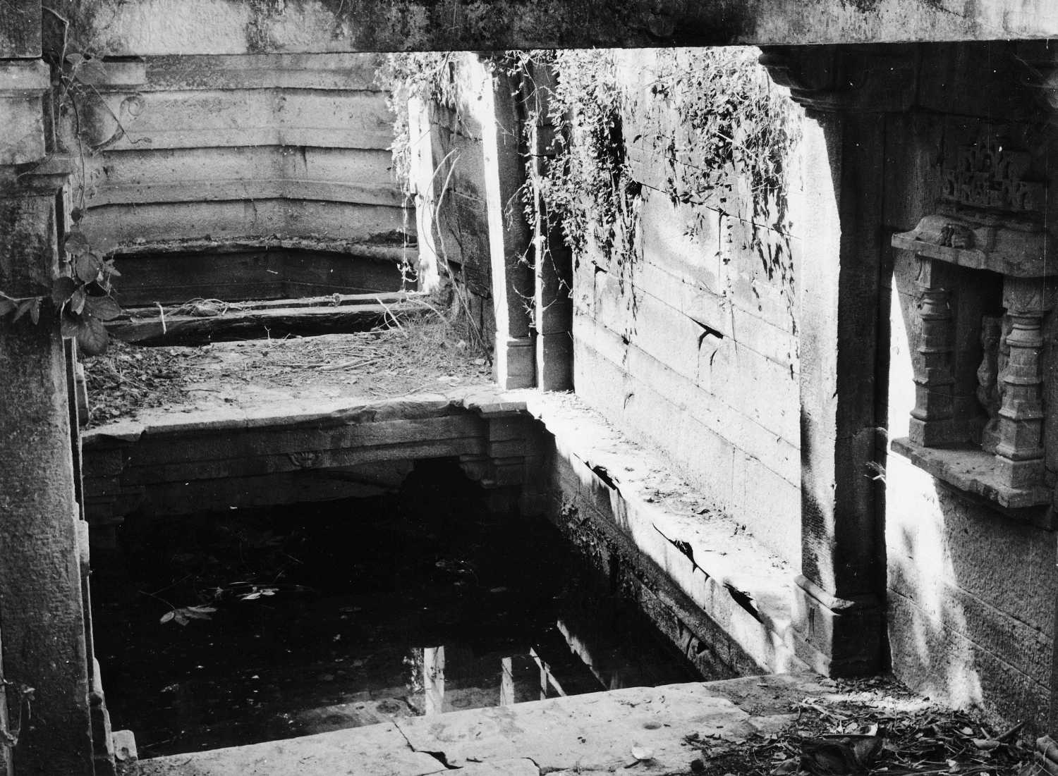 Step-well, Poshina, Gujarat