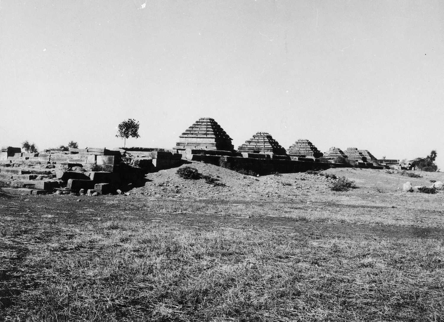 Vapi, Rampur, Gujarat