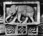 Vidyadhara Vav, Vadodara, Gujarat