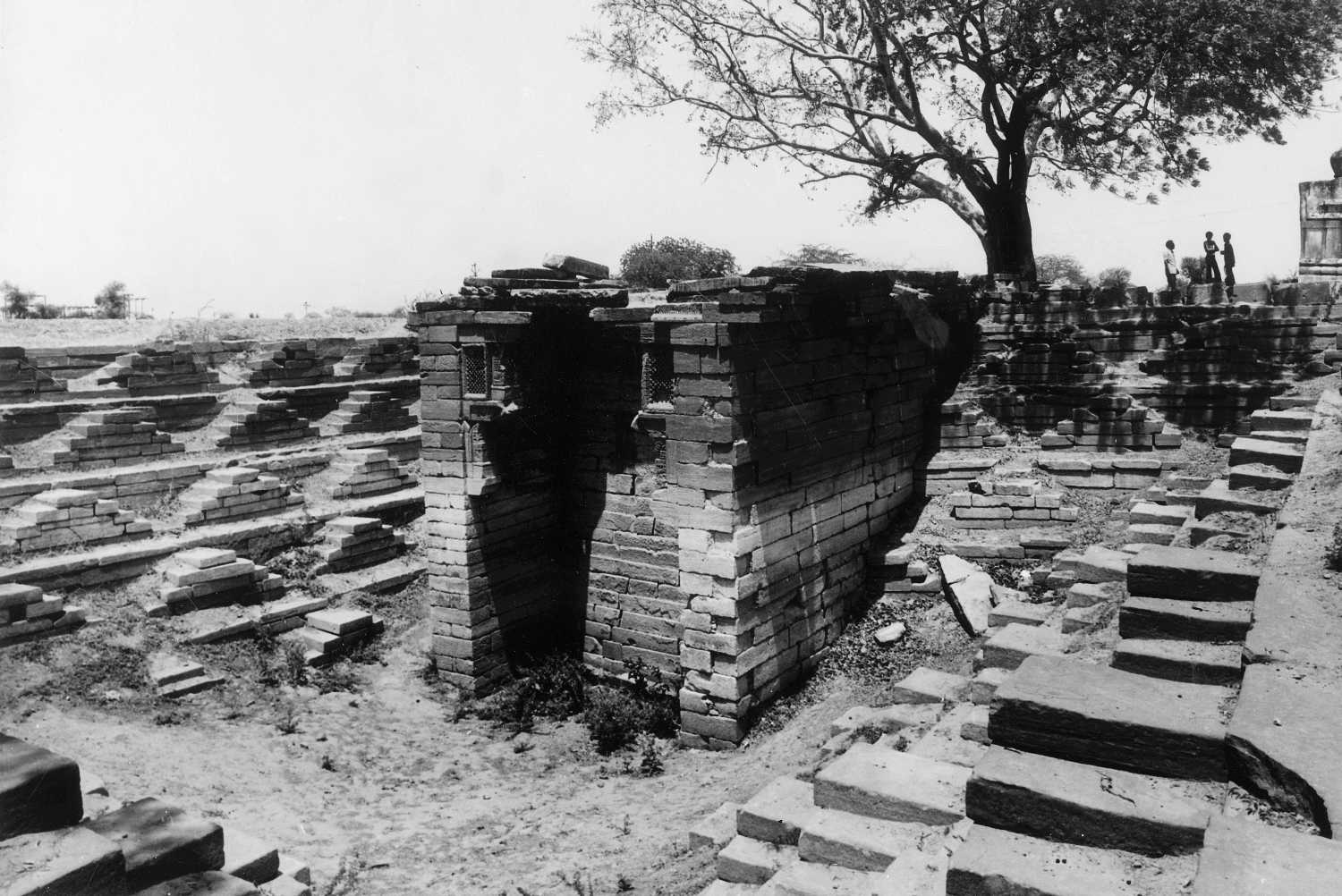 Step-well, Pipad, Rajasthan
