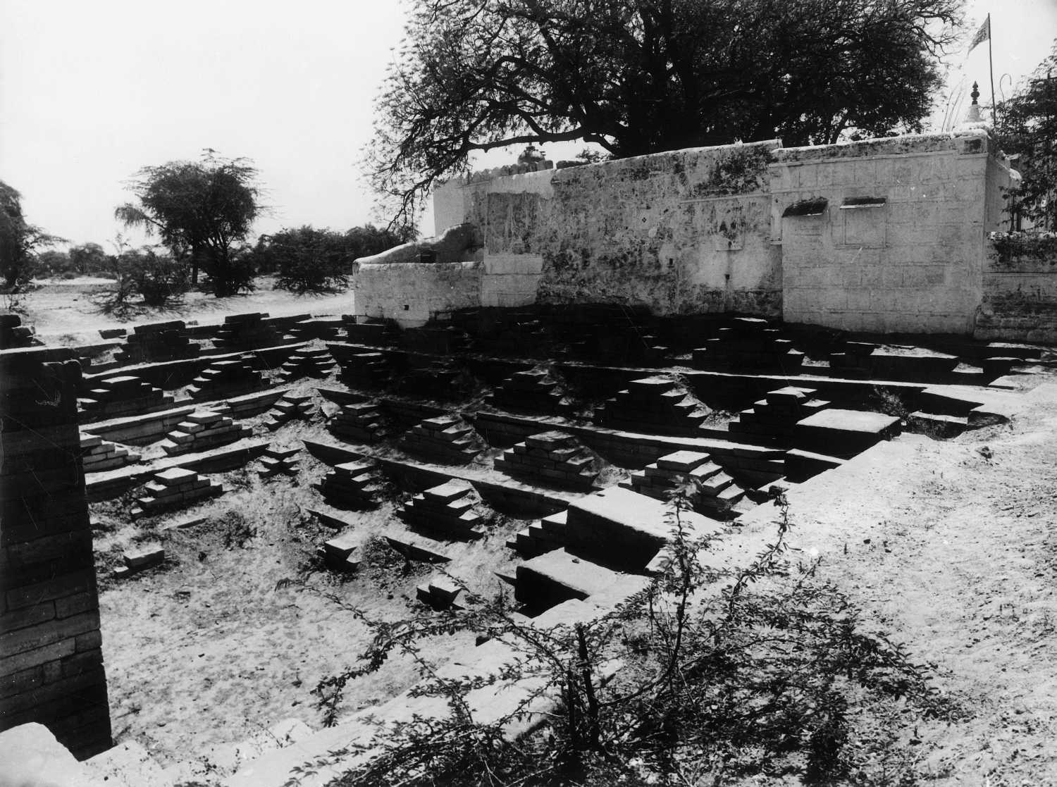 Step-well, Pipad, Rajasthan