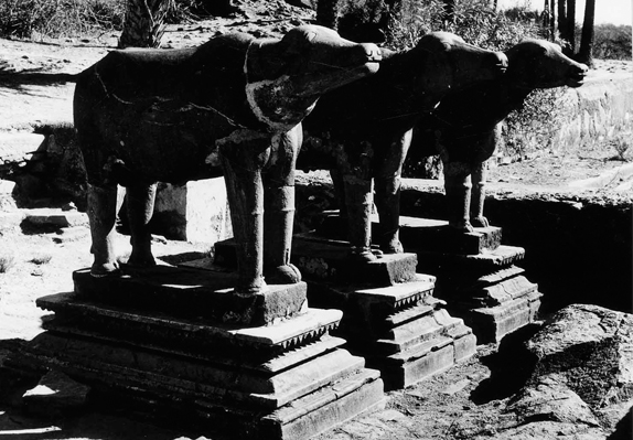 Achalgadh, Sirohi, Rajasthan