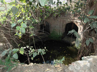 Step well, Doraha (GT Road)
