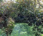 Step well, Doraha (GT Road)