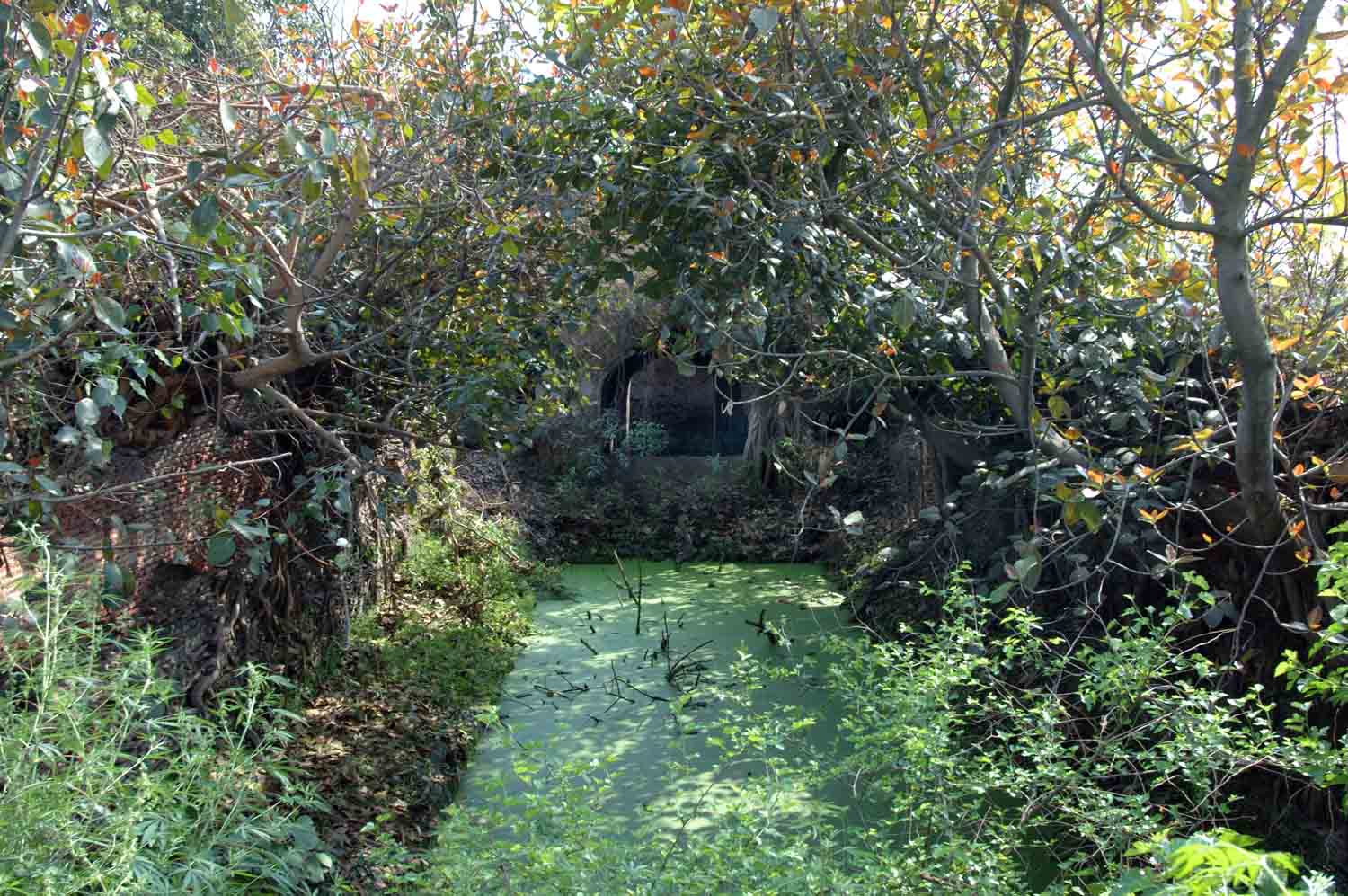 Step well, Doraha (GT Road)