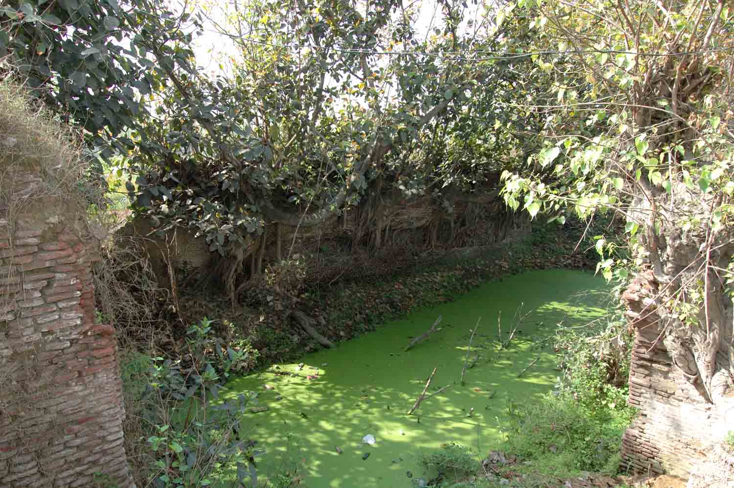 Step well, Doraha (GT Road)