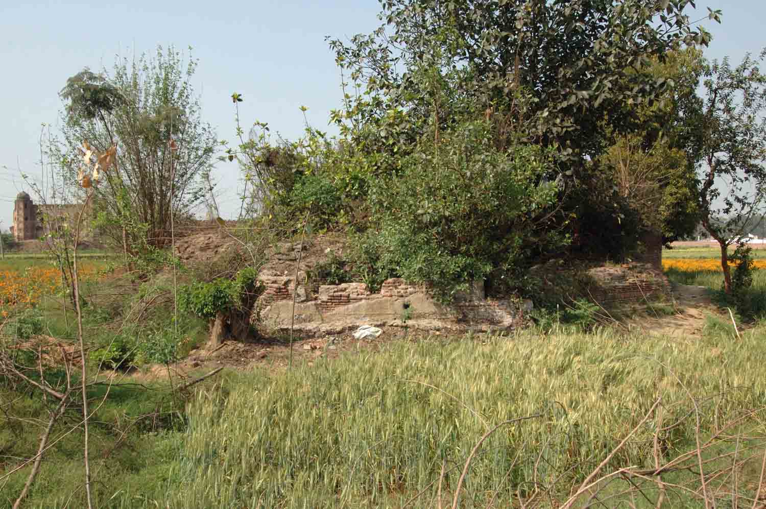 Step well, Doraha (GT Road)