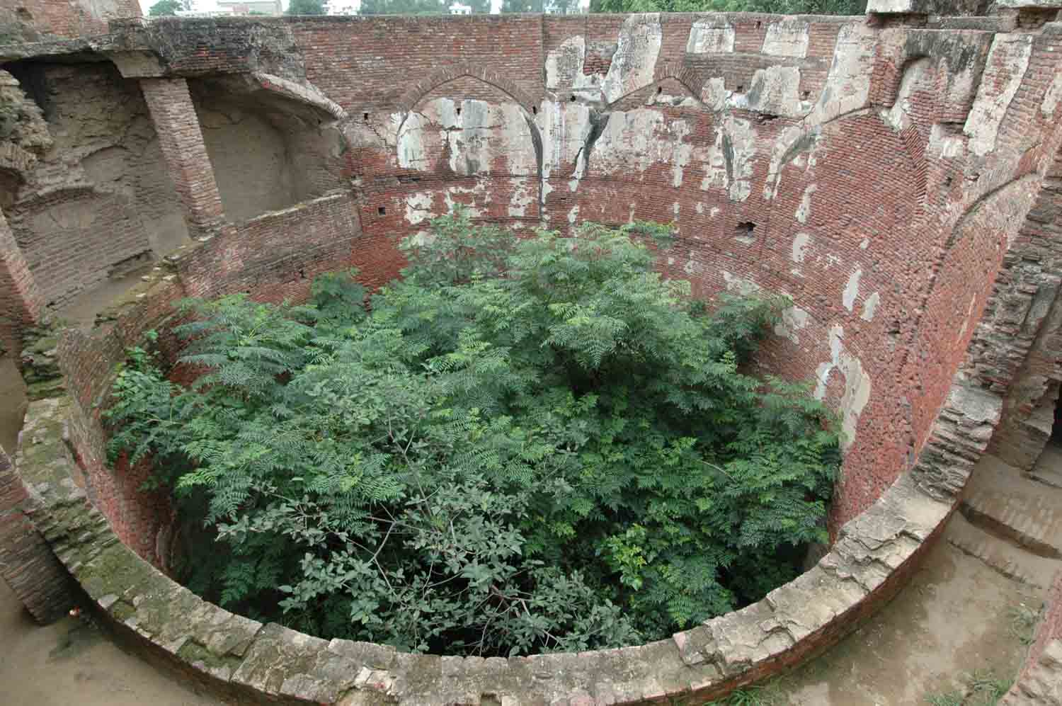 Amm Khass Bagh, Sirhind