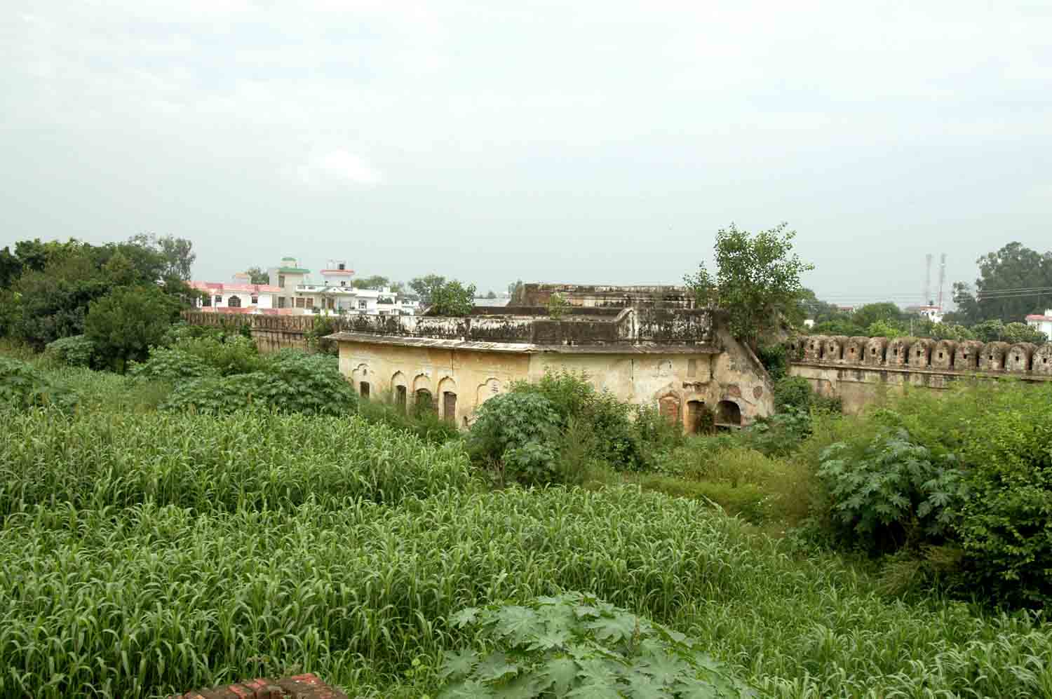 Amm Khass Bagh, Sirhind