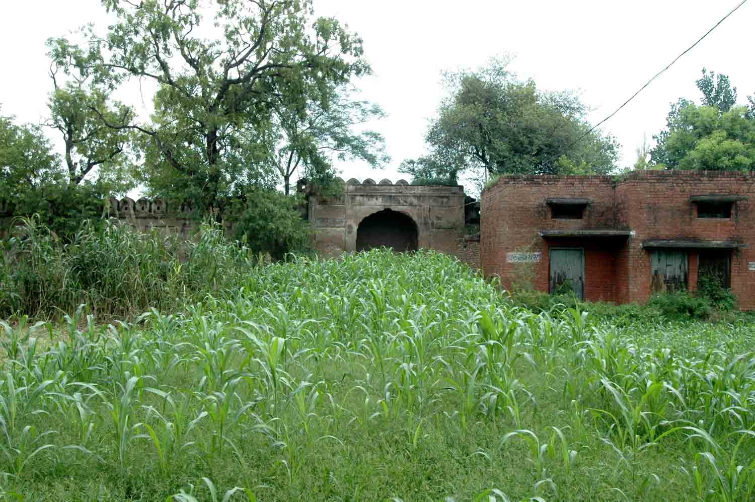 Amm Khass Bagh, Sirhind