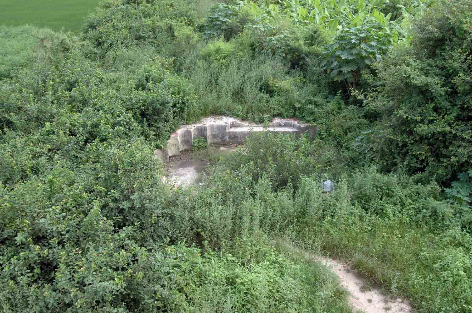 Amm Khass Bagh, Sirhind