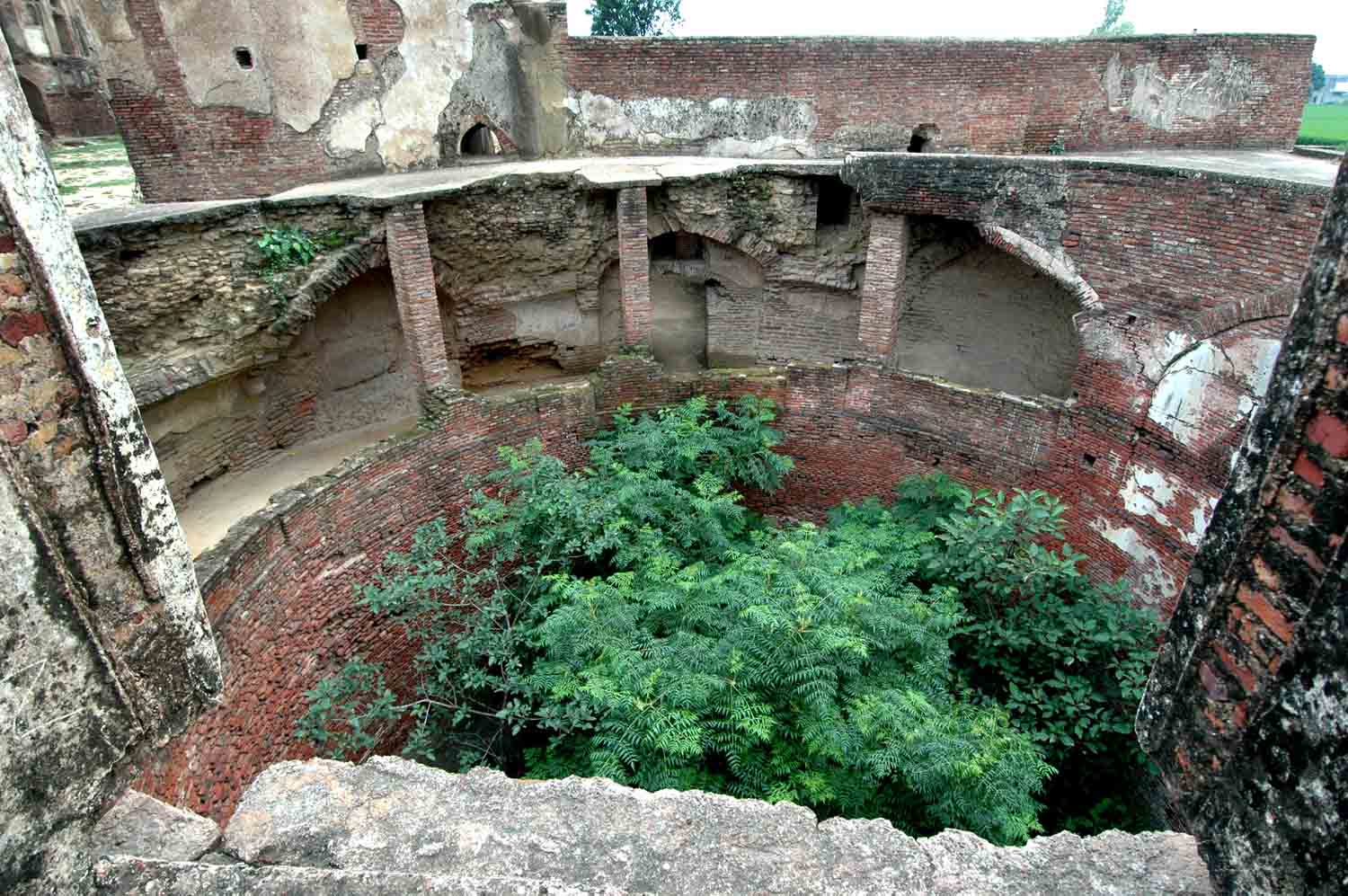 Amm Khass Bagh, Sirhind