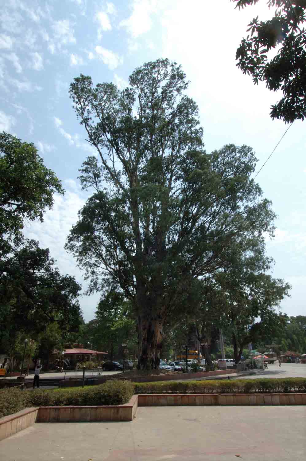 Mughal Garden, Pinjore, Haryana