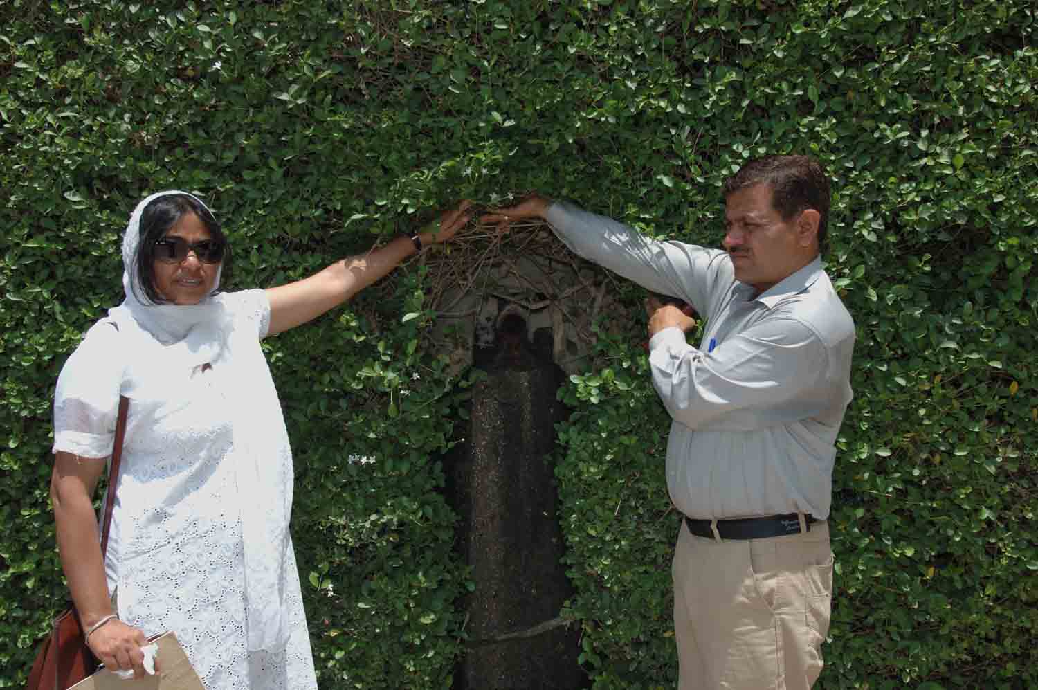 Mughal Garden, Pinjore, Haryana