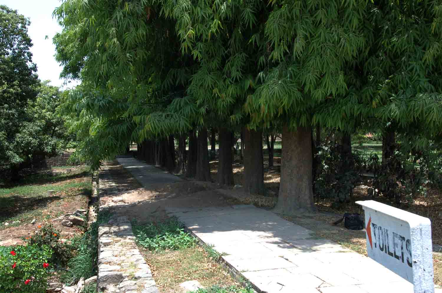 Mughal Garden, Pinjore, Haryana