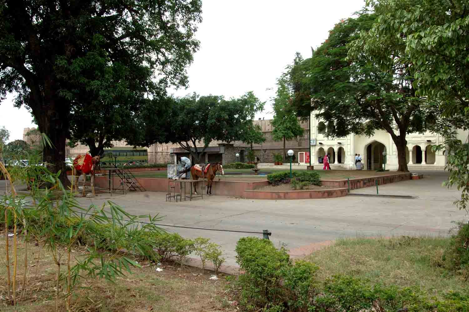 Mughal Garden, Pinjore, Haryana