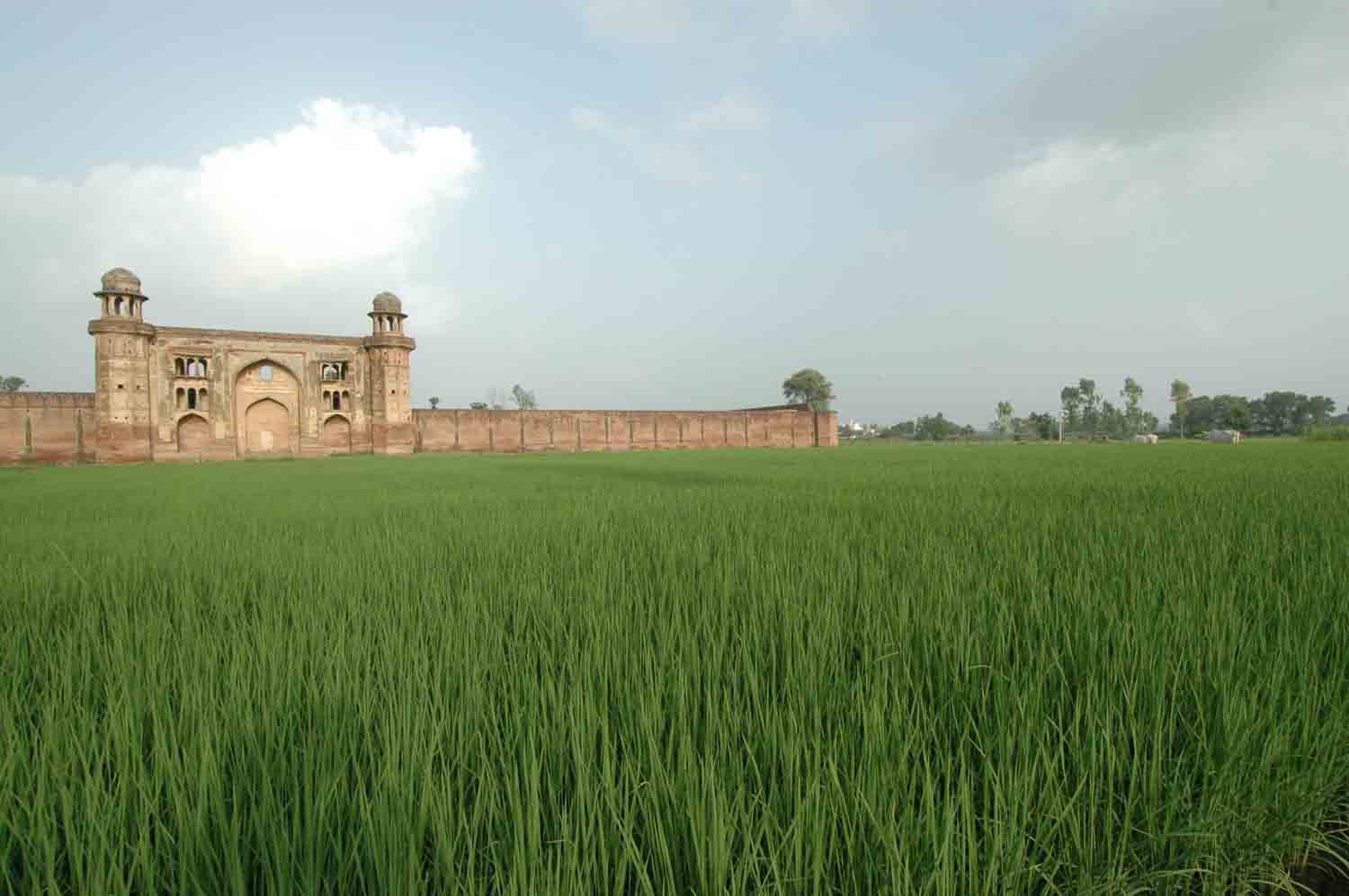 Sarai Dakhani, Mahlian Kalan, Punjab